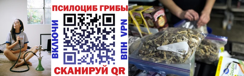 купить  сайты  Саянск  Псилоцибиновые грибы MAGIC MUSHROOMS 